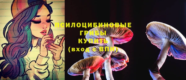 стафф Белокуриха