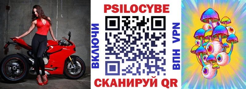 где купить наркоту  Кувандык  Псилоцибиновые грибы мухоморы 